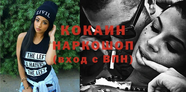 прущие грибы Переславль-Залесский