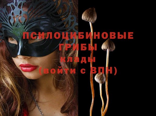 ешки Богданович