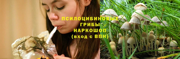 стафф Покачи
